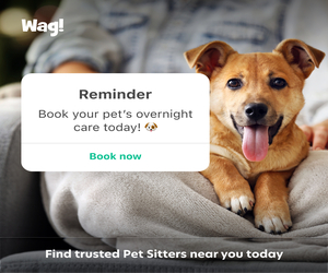 CSM - Wag