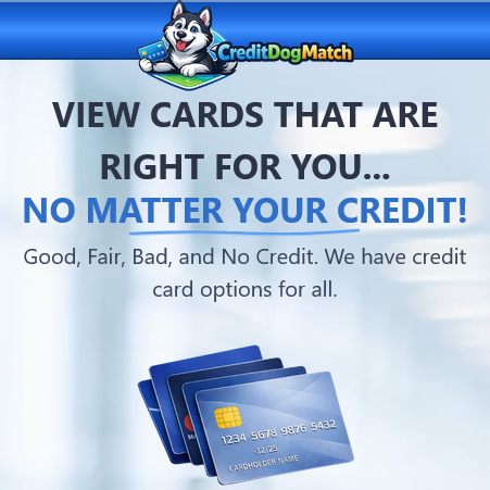 CSM - Credit Dog Match