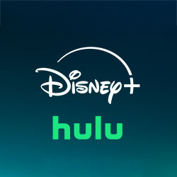 Disney+ & Hulu Bundle