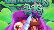 Wizards Bag