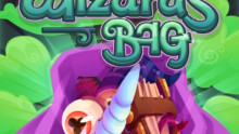 Wizards Bag